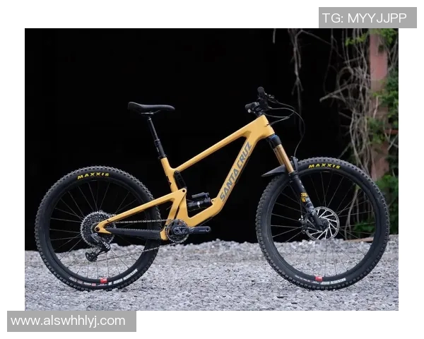 陈芳亲述极限运动的挑战与乐趣分享，助你突破自我极限的心得体会