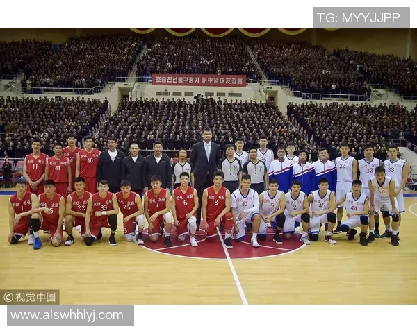 杭州羽毛球队整体压制革新之路探索与实践分析