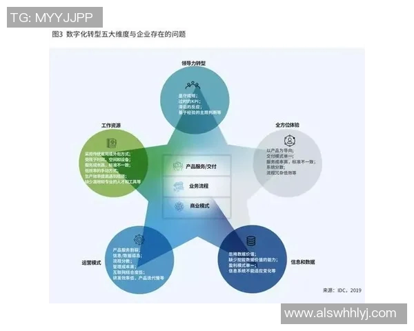 武汉足球队的转型之路：从传统到现代的深度解析与展望