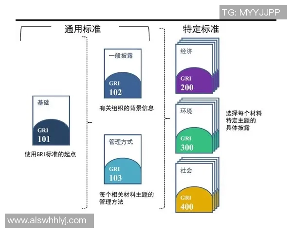 竞技体育的定义、发展与对社会影响的全面探讨与分析